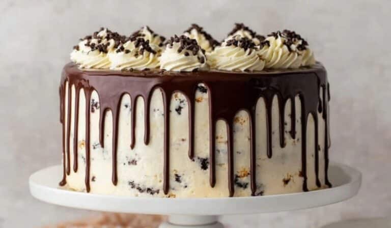 Chocolate Chip Cake with Ganache Drip on cake stand